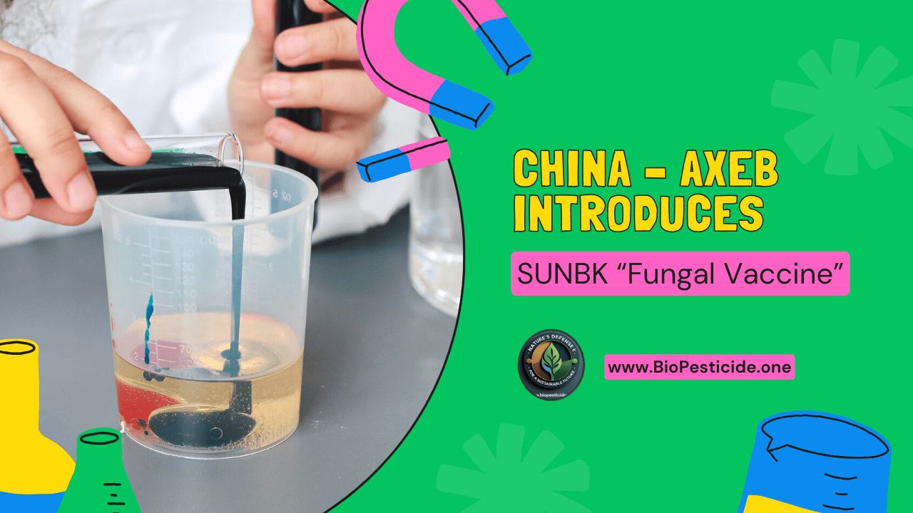 Detailed Information on SUNBK (AXEB, China)