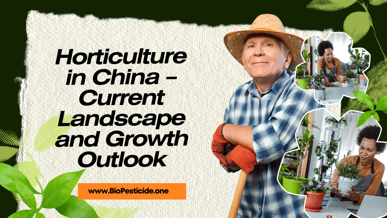 Horticulture in China – Current Landscape and Growth Outlook